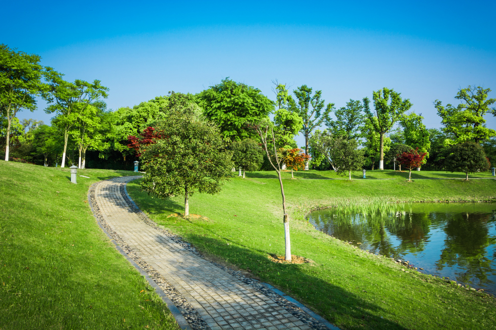 Green Areas
